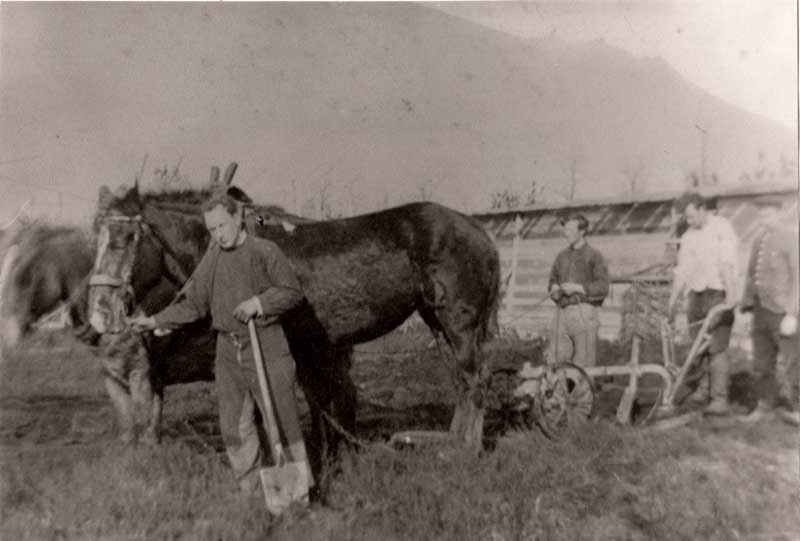Leden van de Socialistische Werkgemeenschap "De Ploeg" ontginnen de heide bij Best, 1920 (Beeld- en geluidcollectie Gemeente Best. Bron: Regionaal Historisch Centrum Eindhoven)